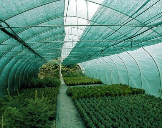 Коли знімати затіняючу сітку?