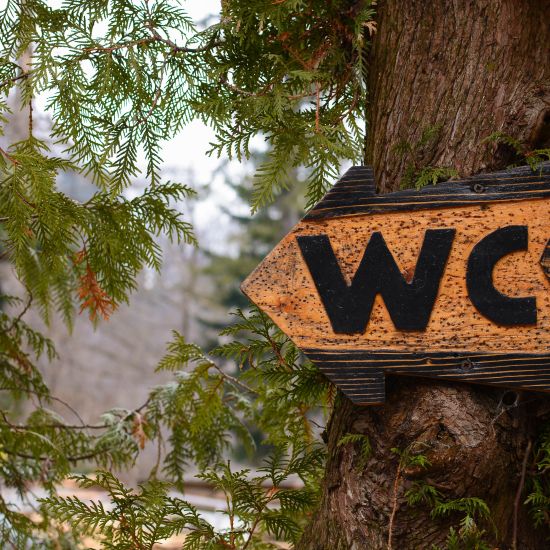 Вуличний туалет пластиковий, цегляний чи дерев'яний: що краще?